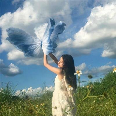 蝶之力学 杀人分析班